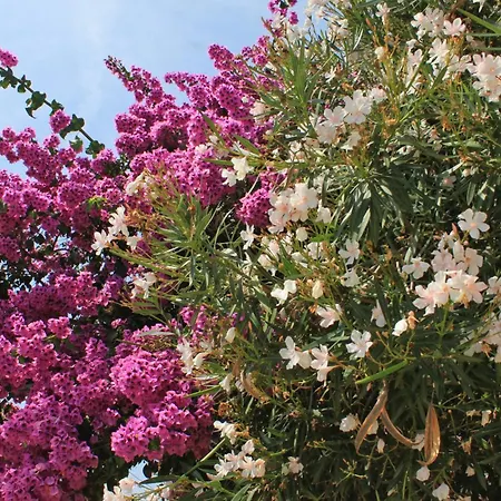 With Parking Space Rastici, Ciovo - 6863 شقة تروغير